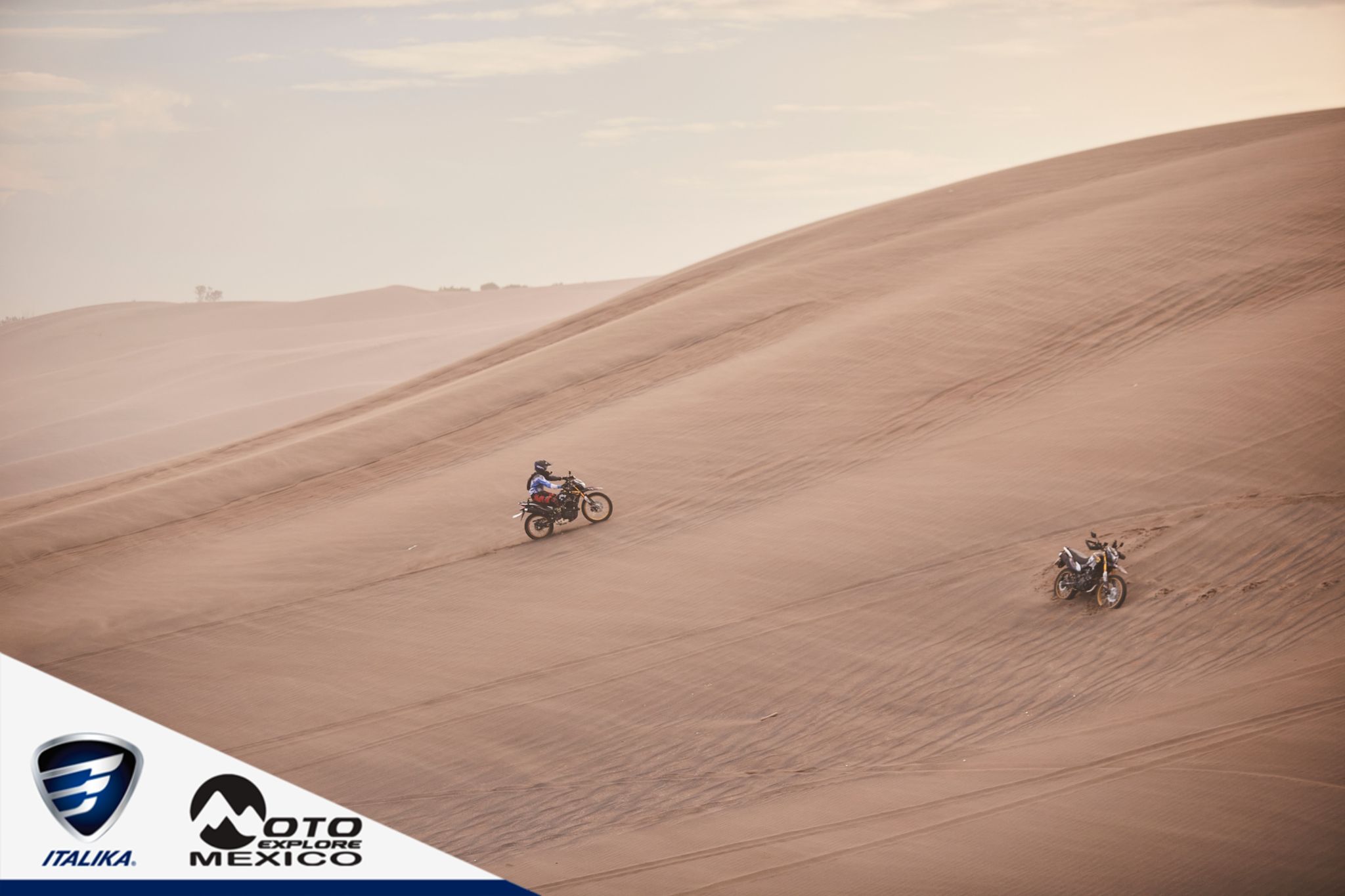 ITALIKA CHACHALACAS D2 484